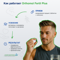 БАД ОРТОМОЛ/ORTHOMOL® Fertil plus для фертильности (таблетки+капсулы) для мужчин, № 30
